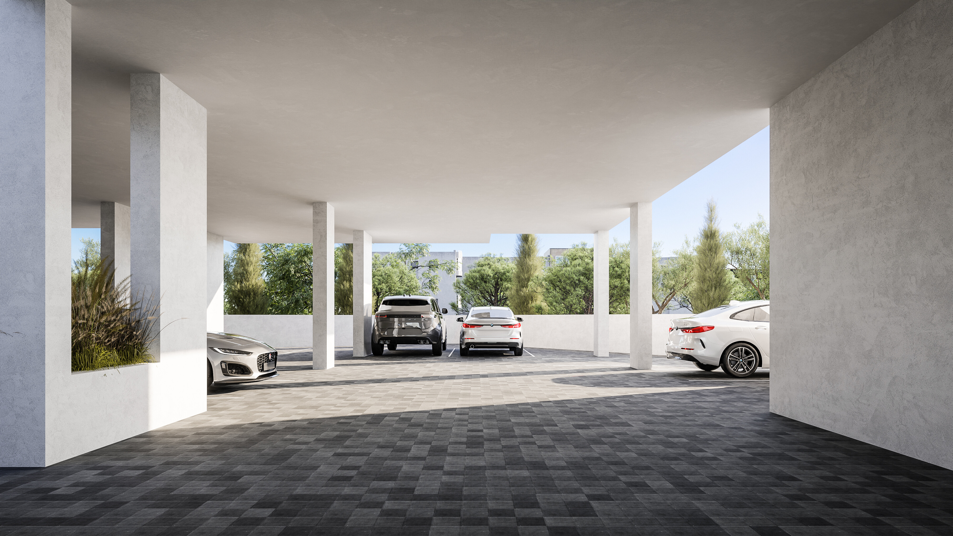 The Collection — visual