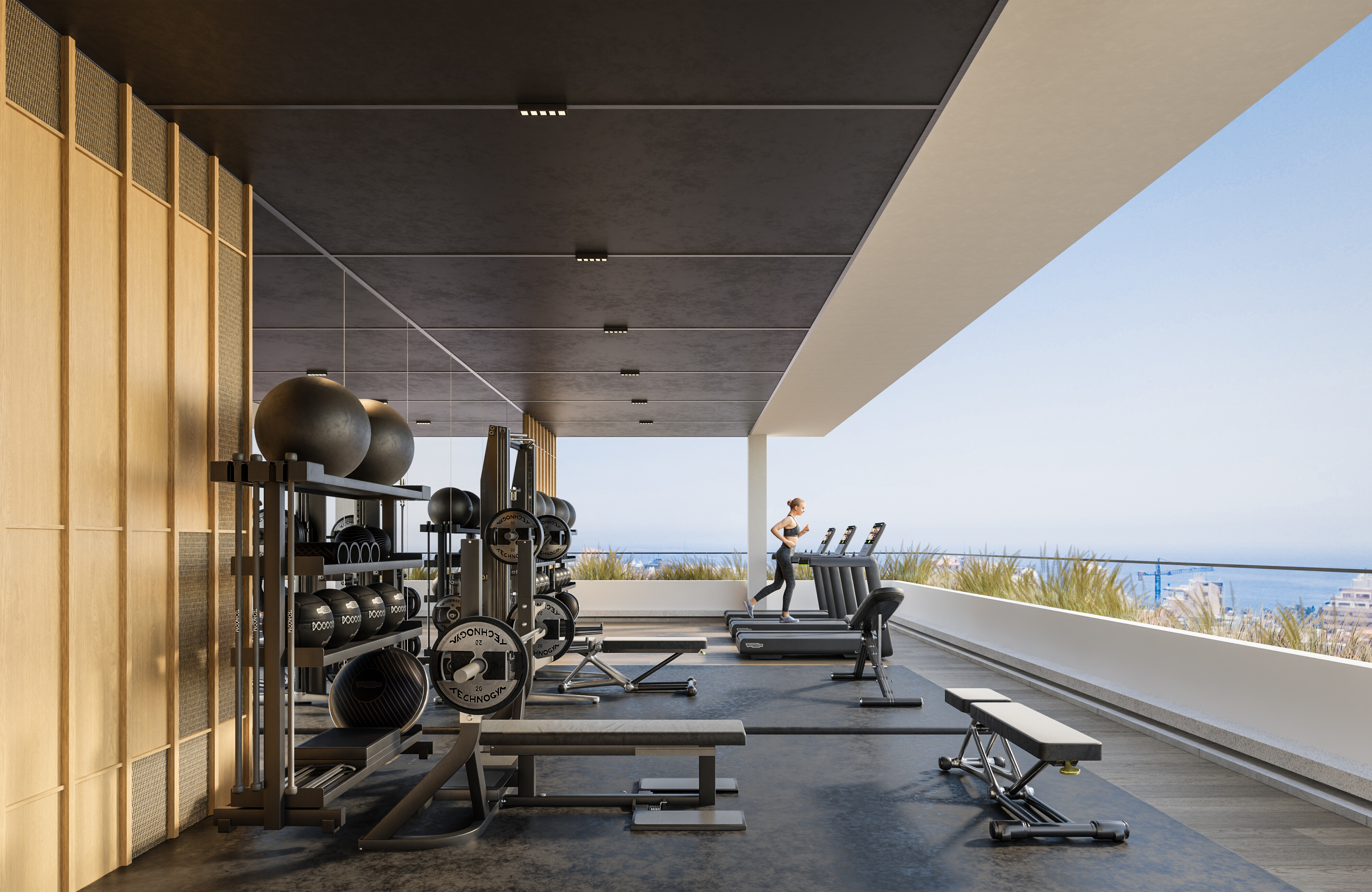 The Collection — visual 6