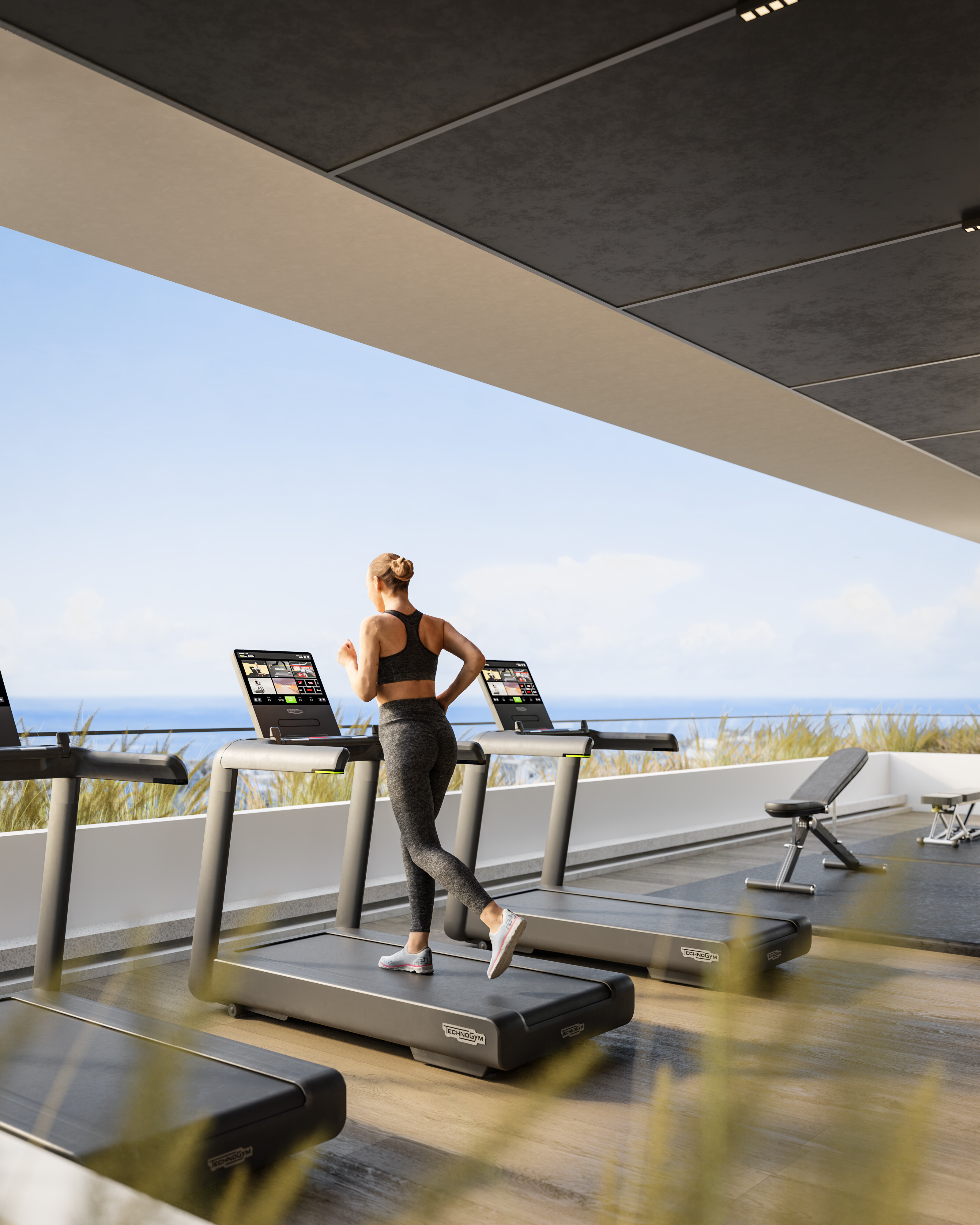 The Collection — visual 5