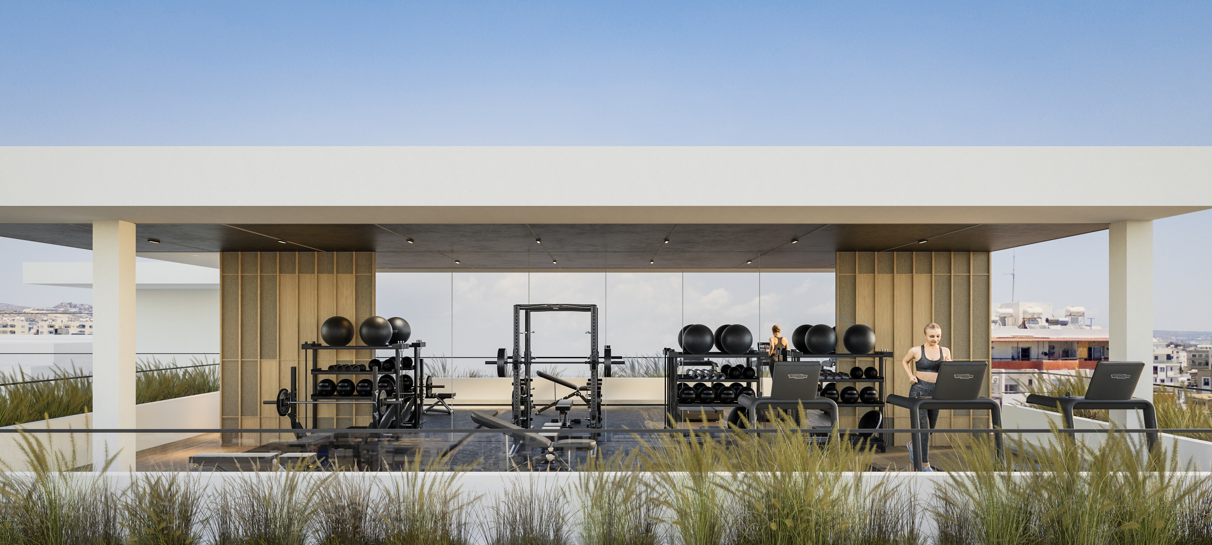 The Collection — visual 4