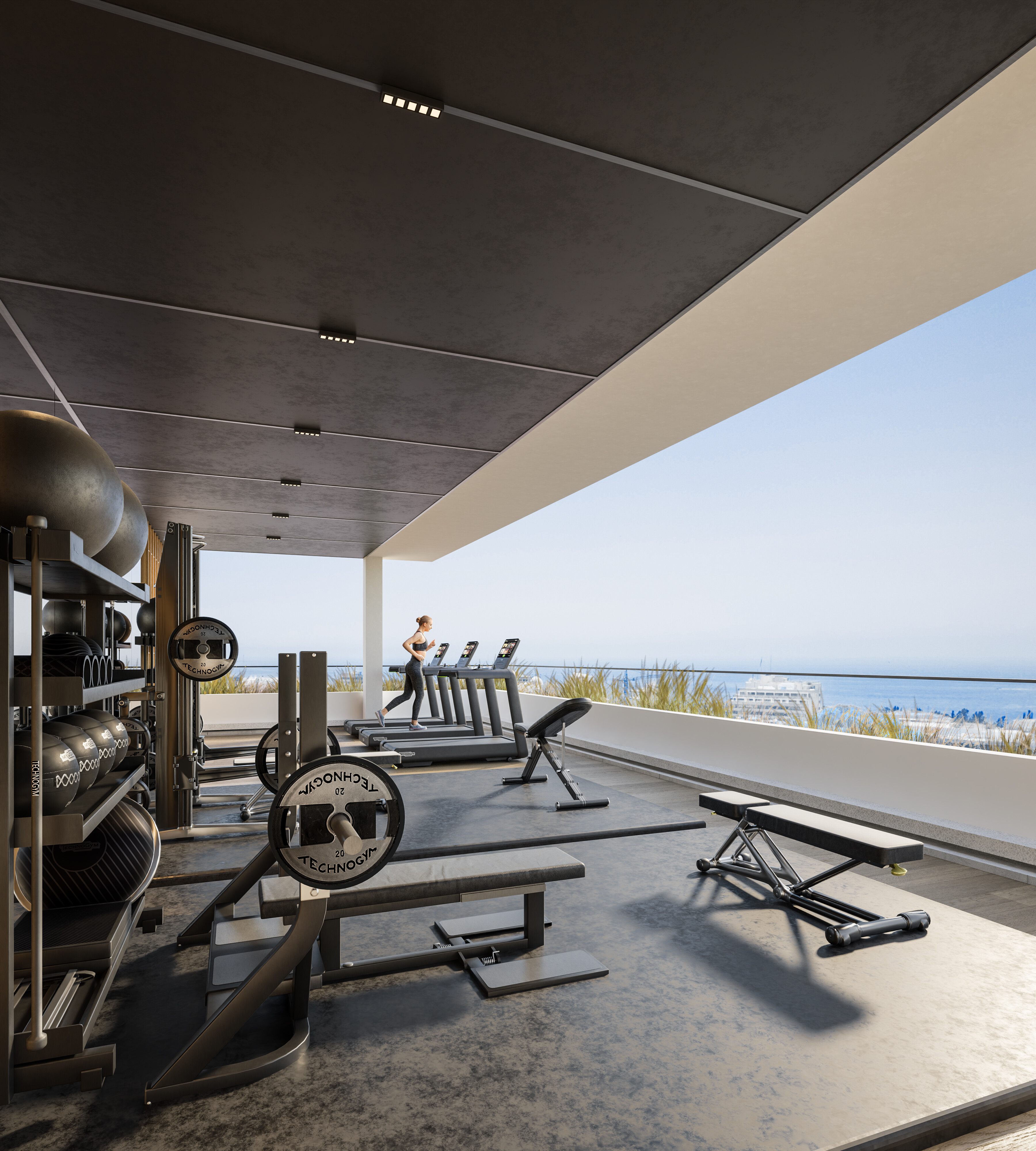 The Collection — visual 3