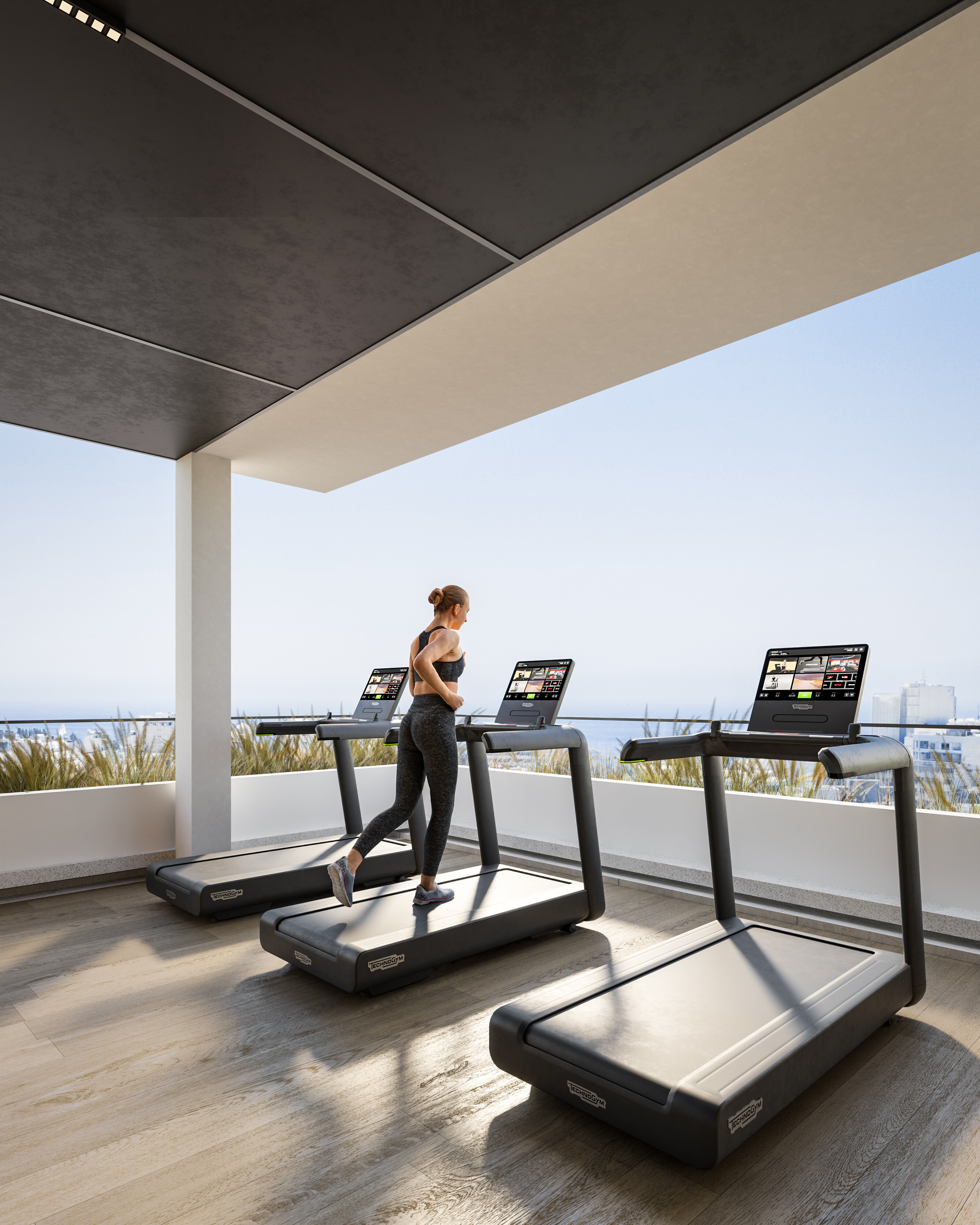 The Collection — visual 2