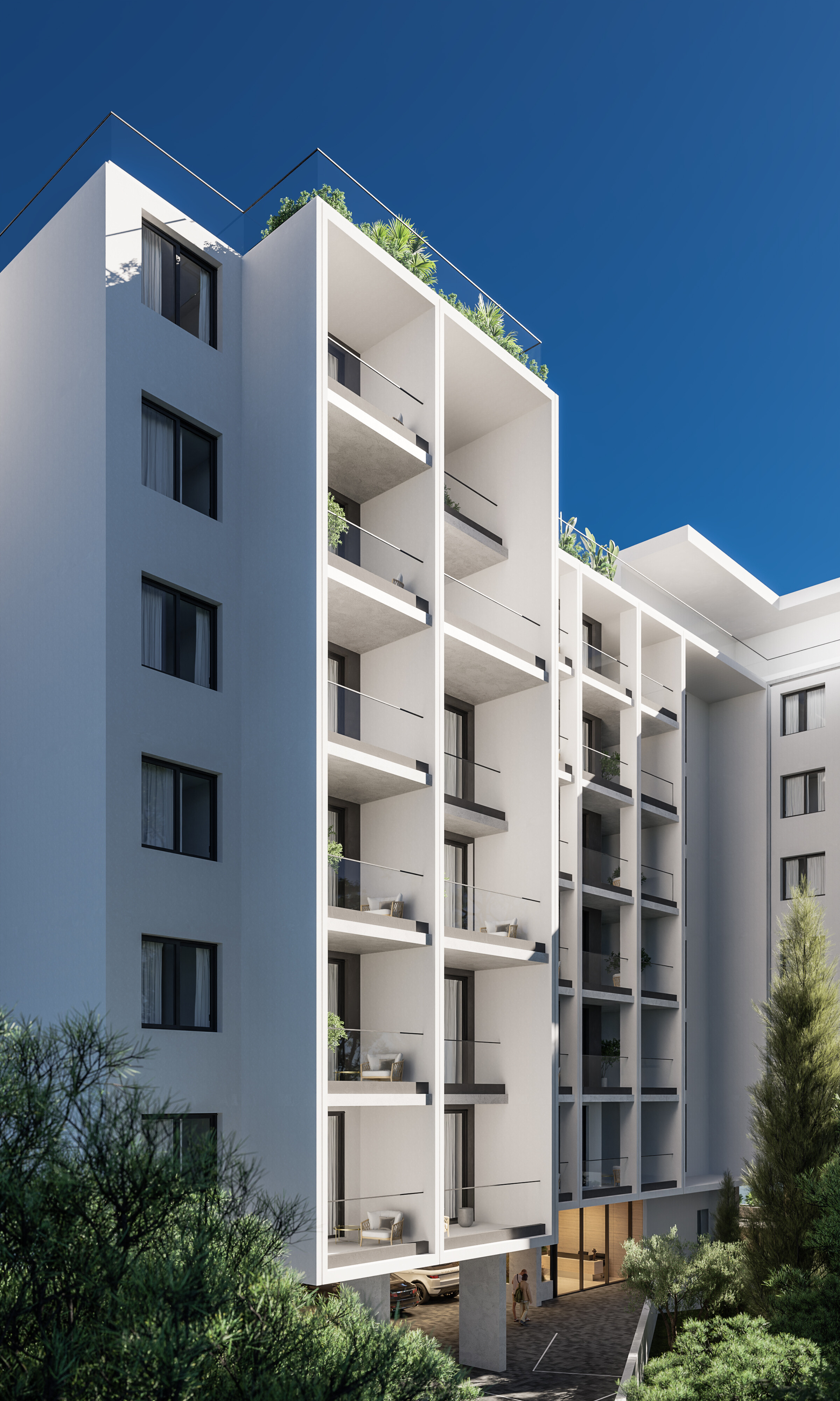 The Collection — visual 1