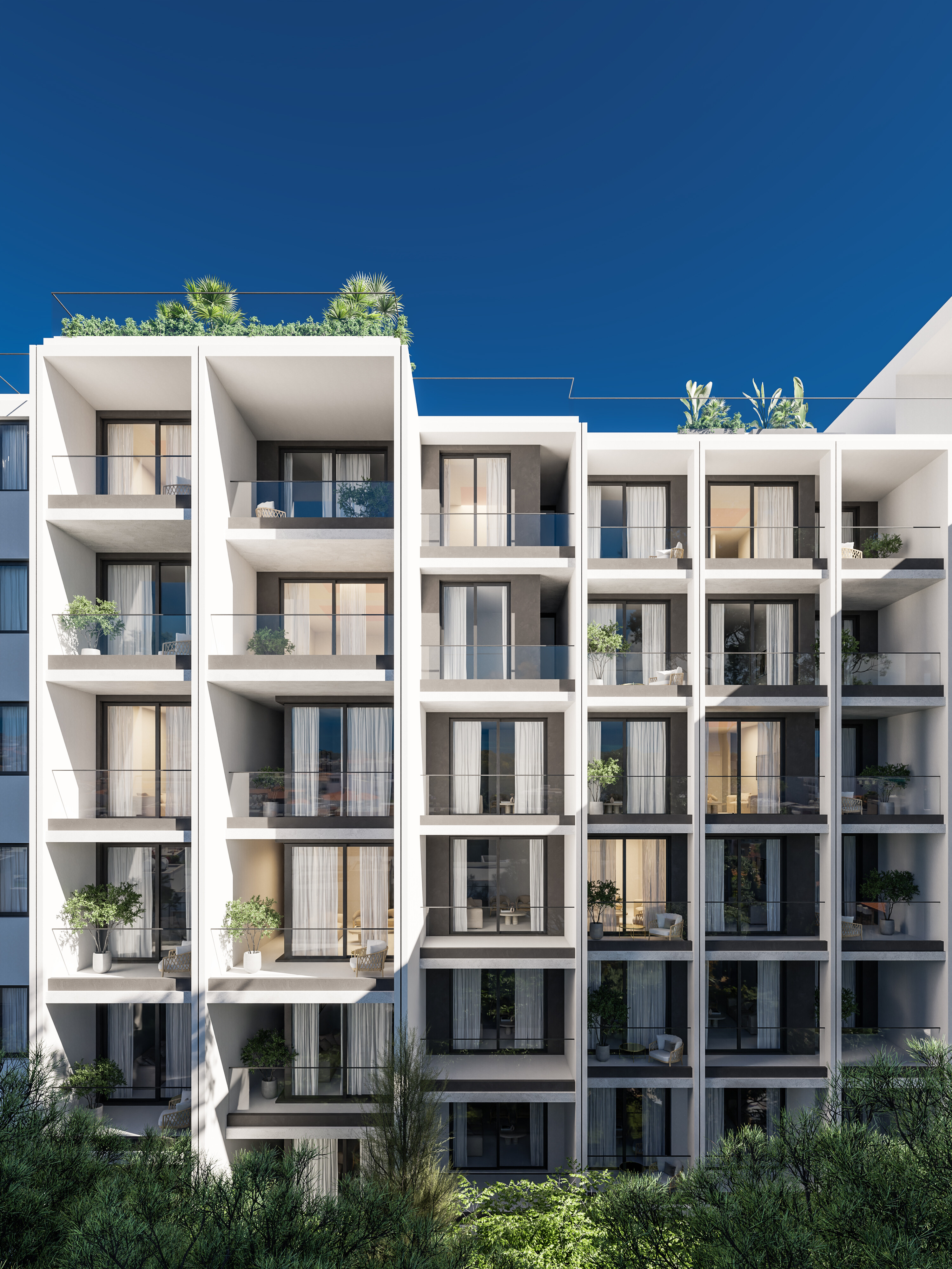 The Collection — visual